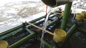 画像　日枝神社の手水舎